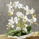 Kunst- & Textilpflanzen - Orchideen-Arrangement in Schale, in Farbe WEISS – Farbe WEISS – Ansicht 1