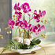 Kunst- & Textilpflanzen - Orchideen-Arrangement in Schale, in Farbe WEISS – Farbe ROSA – Ansicht 1