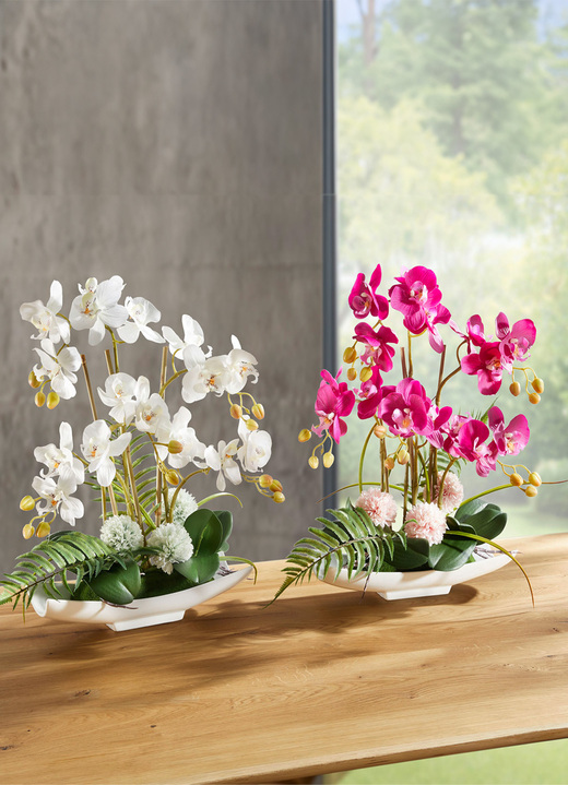 Kunst- & Textilpflanzen - Orchideen-Arrangement in Schale, in Farbe WEISS Ansicht 4