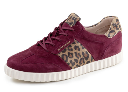 Peter Kaiser, trendige Damen-Sneaker, mit herausnehmbarem Fußbett