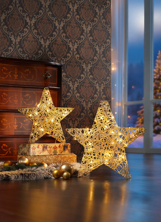 Stern mit Lichterketten-Geflecht