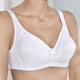 Soft-BH - Naturana Zweierpack BH mit Baumwolle, in Größe 080 bis 105, in Cup C, in Farbe WEISS – Farbe WEISS – Ansicht 1