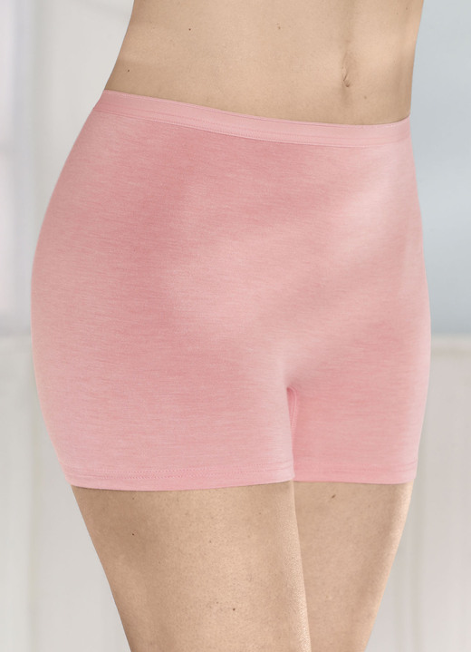 Schlüpfer - Sylvia Speidel Zweierpack Pants, atmungsaktiv, in Größe 038 bis 048, in Farbe 2X PISTAZIE MELIERT Ansicht 10