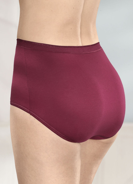 Slips - brio lingerie Fünferpack Slips mit elastischen Abschlüssen, in Größe 040 bis 058, in Farbe 3X BORDEAUX, 2X SCHWARZ Ansicht 2