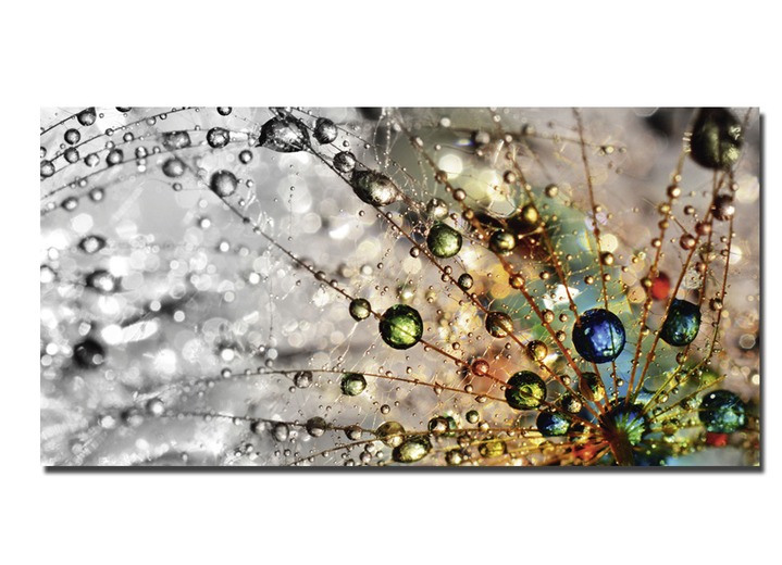 Modern - Bild Wassertropfen auf einer Pusteblume, in Farbe GRAU Ansicht 2