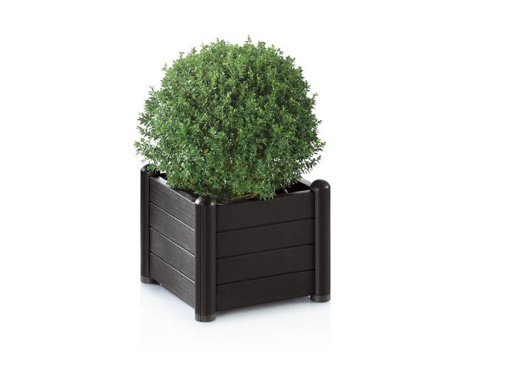 Blumentöpfe & Pflanzgefäße - Pflanzkasten aus wetterbeständigem Kunststoff, in Farbe STEINGRAU, in Ausführung Pflanzkasten klein Ansicht 4