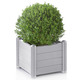 Blumentöpfe & Pflanzgefäße - Pflanzkasten aus wetterbeständigem Kunststoff, in Farbe WEISS, in Ausführung Pflanzkasten klein