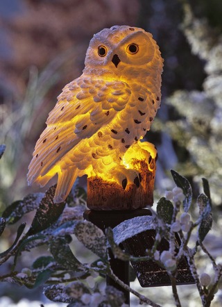 Gartenbeleuchtung - Solar-Schnee-Eule aus Polyresin, in Farbe WEISS – Farbe WEISS – Ansicht 