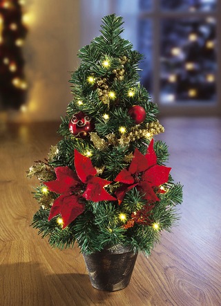 Beleuchteter Tannenbaum