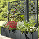 Blumentöpfe & Pflanzgefäße - Pflanzkasten in moderner Rattan-Optik, in Farbe WEISS, in Ausführung Pflanzkasten, klein, ohne Spalierwand – Farbe ANTHRAZIT – Ansicht 1