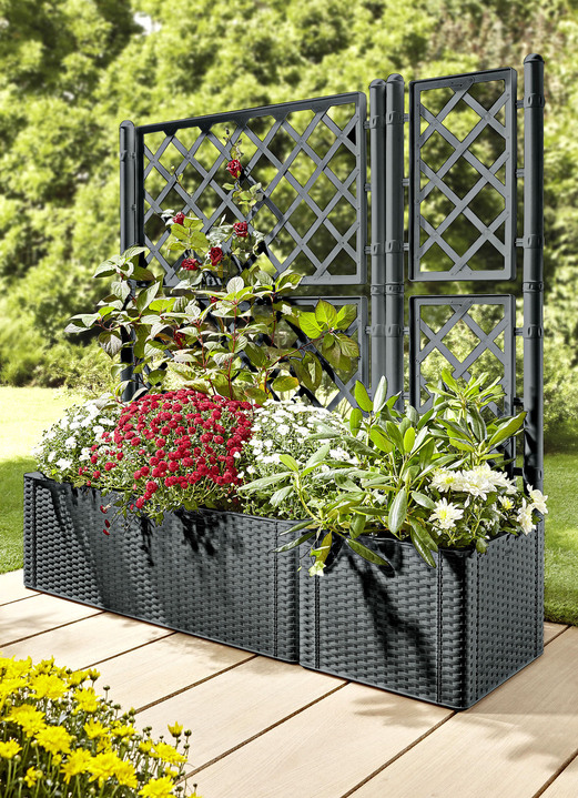 Blumentöpfe & Pflanzgefäße - Pflanzkasten in moderner Rattan-Optik, in Farbe WEISS, in Ausführung Pflanzkasten, klein, ohne Spalierwand Ansicht 4