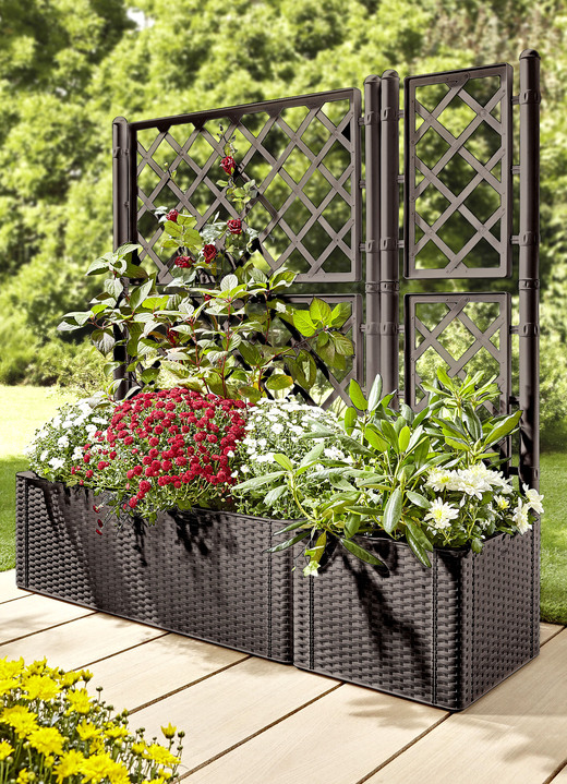 Blumentöpfe & Pflanzgefäße - Pflanzkasten in moderner Rattan-Optik, in Farbe WEISS, in Ausführung Pflanzkasten, klein, ohne Spalierwand Ansicht 5