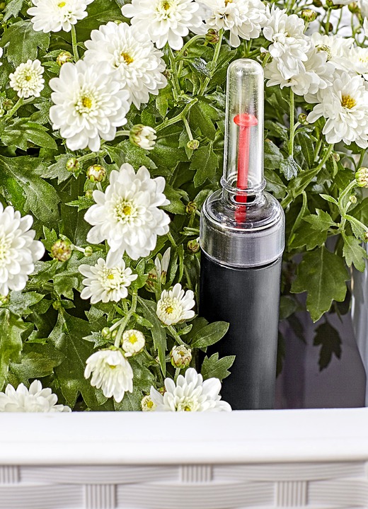 Blumentöpfe & Pflanzgefäße - Pflanzkasten in moderner Rattan-Optik, in Farbe WEISS, in Ausführung Pflanzkasten, klein, ohne Spalierwand Ansicht 2