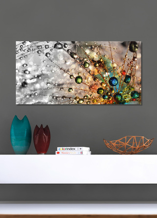 Modern - Bild Wassertropfen auf einer Pusteblume, in Farbe GRAU – Farbe GRAU – Ansicht 