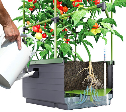 Blumentöpfe & Pflanzgefäße - Rankkasten City Jungle, in Farbe ANTHRAZIT-GRÜN – Farbe ANTHRAZIT-GRÜN – Ansicht 