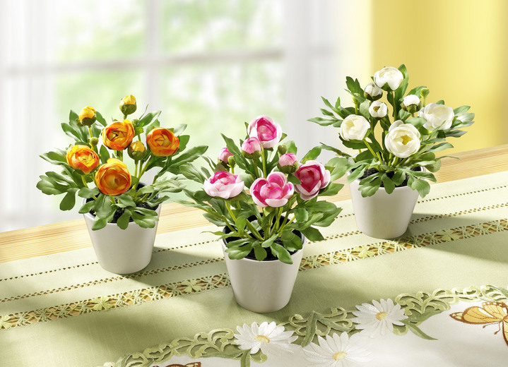- Ranunkeln, 3er-Set, in Farbe ROSA-ORANGE-WEISS Ansicht 2