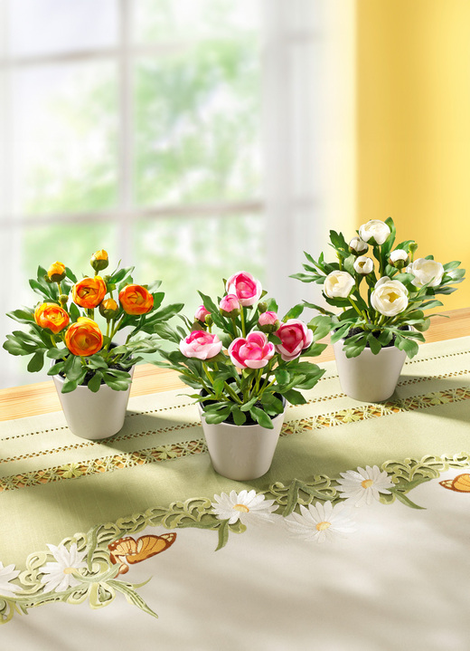 Ostern - Ranunkeln, 3er-Set, in Farbe ROSA-ORANGE-WEISS Ansicht 1