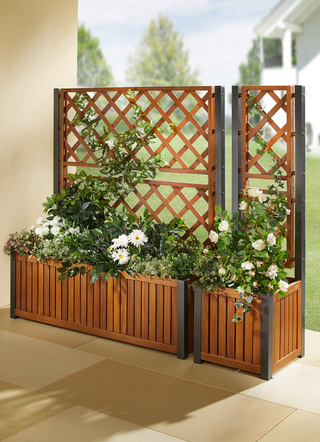 Pflanzkasten mit Rankgitter