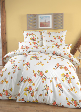 - Bettwäsche-Garnitur in Renforcé-Qualität, in Größe 111 (40x80 cm + 135x200 cm) bis 115 (80x80 cm + 155x220 cm), in Farbe MULTICOLOR