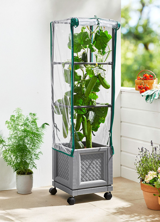 Blumentöpfe & Pflanzgefäße - XXL-Pflanzturm mit Rollen, in Farbe GRAU Ansicht 2