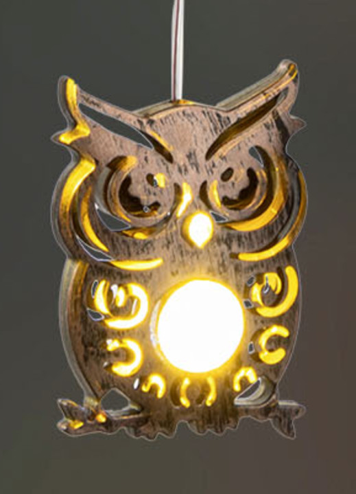 Gartendekoration - Solar-Windspiel mit Eulen, in Farbe SILBER Ansicht 2