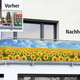 Sichtschutz - Balkonsichtschutz mit Sonnenblumen-Motiv, in Farbe BUNT – Farbe BUNT – Ansicht 2
