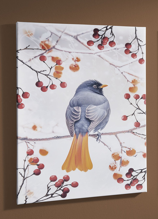 Tiere - Bild Vogel des Jahres 2025 Hausrotschwanz auf Leinwand, in Farbe BUNT, in Ausführung Hausrotschwanz von der Seite Ansicht 3