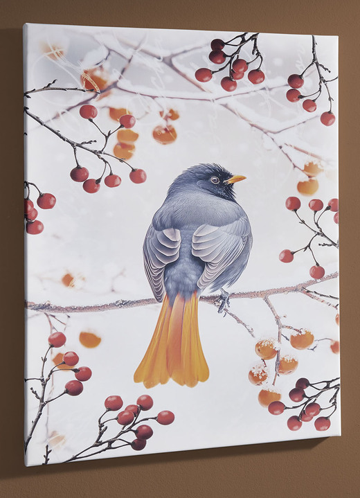 Tiere - Bild Vogel des Jahres 2025 Hausrotschwanz auf Leinwand, in Farbe BUNT, in Ausführung Hausrotschwanz von der Seite Ansicht 4