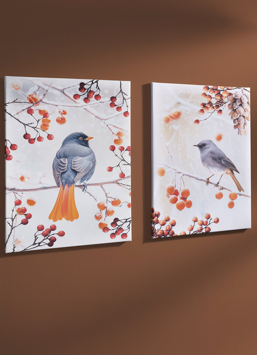 Tiere - Bild Vogel des Jahres 2025 Hausrotschwanz auf Leinwand, in Farbe BUNT, in Ausführung Hausrotschwanz von der Seite Ansicht 2