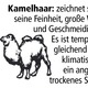 Decken - Wohndecke aus Schurwolle und Kamelhaar – Farbe CAMEL – Ansicht 3 Decken - Wohndecke aus Schurwolle und Kamelhaar, in Farbe CAMEL – Farbe CAMEL – Ansicht 3