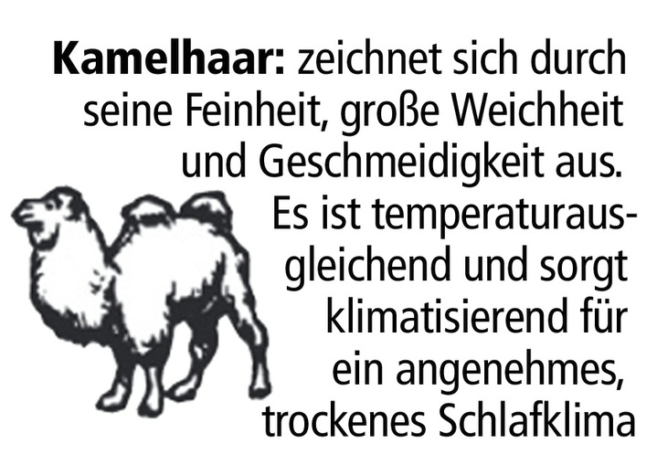 Wohnen - F.a.n.-Bettwarenprogramm mit feinsten und hochwertigen Edelhaaren, in Größe 103 (135/200 cm) bis 112 (200/200 cm), in Farbe NATUR, in Ausführung Leicht-Steppbett Ansicht 3