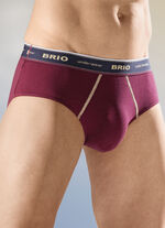 Dreierpack Slips mit Elastikbund 