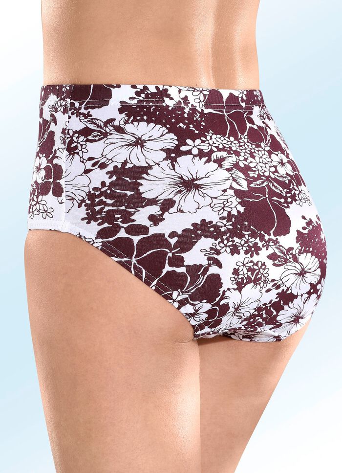 F&uuml;nferpack Slips mit Gummizug im Bund 