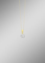 Anh&auml;nger in Bicolor 