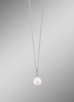 Anh&auml;nger mit Panzerkette 