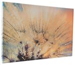 Leinwandbild mit Zertifikat 