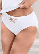 Speidel Slip mit T&uuml;llstickerimotiv im Vorderteil 