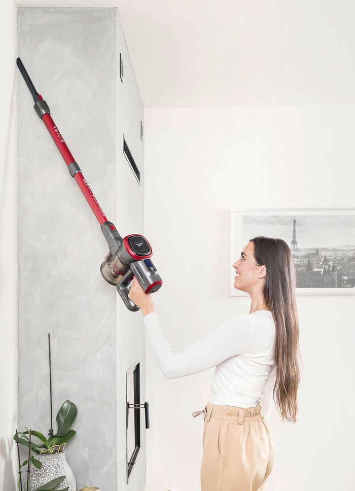 eta FÉNIX 2-in-1 Akku-Handstaubsauger 