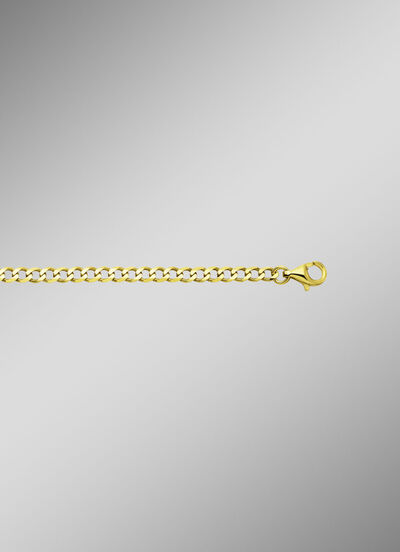 Panzerkette aus Gold 