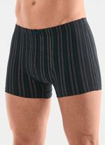 Viererpack Pants mit Dehnbund 