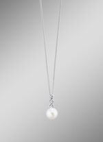 Anhänger mit Panzerkette 