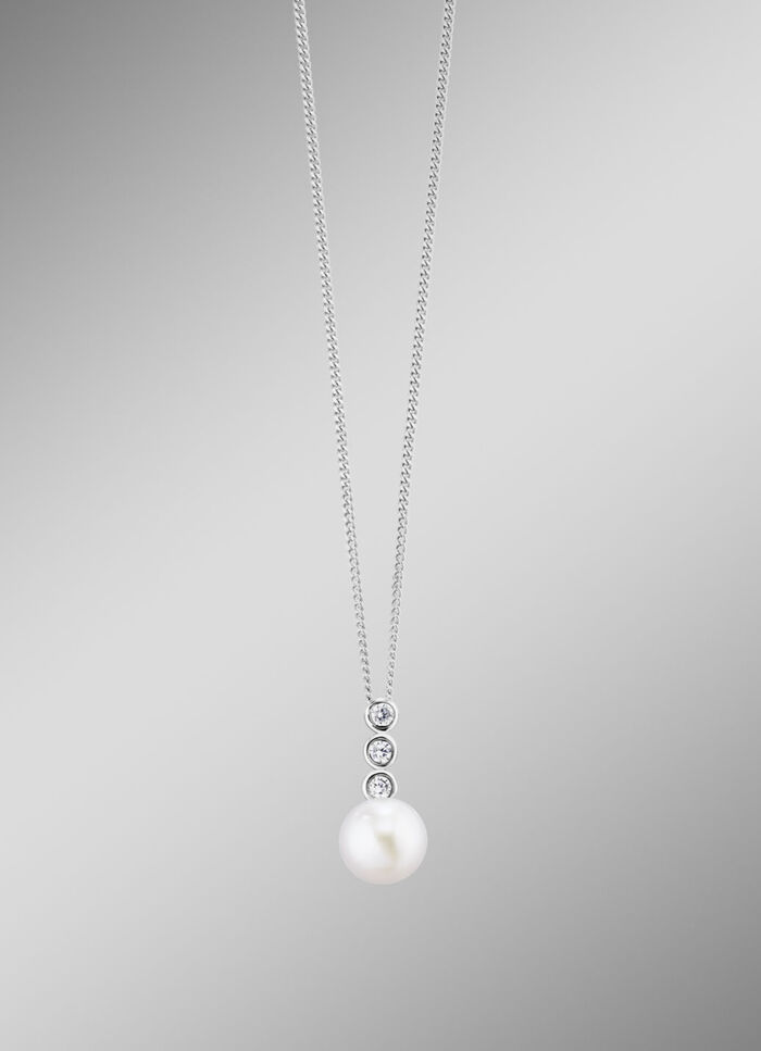 Anhänger mit Panzerkette 