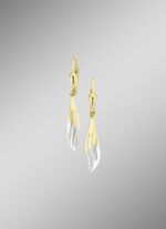 Klassische, gl&auml;nzende Ohrringe in Bicolor 