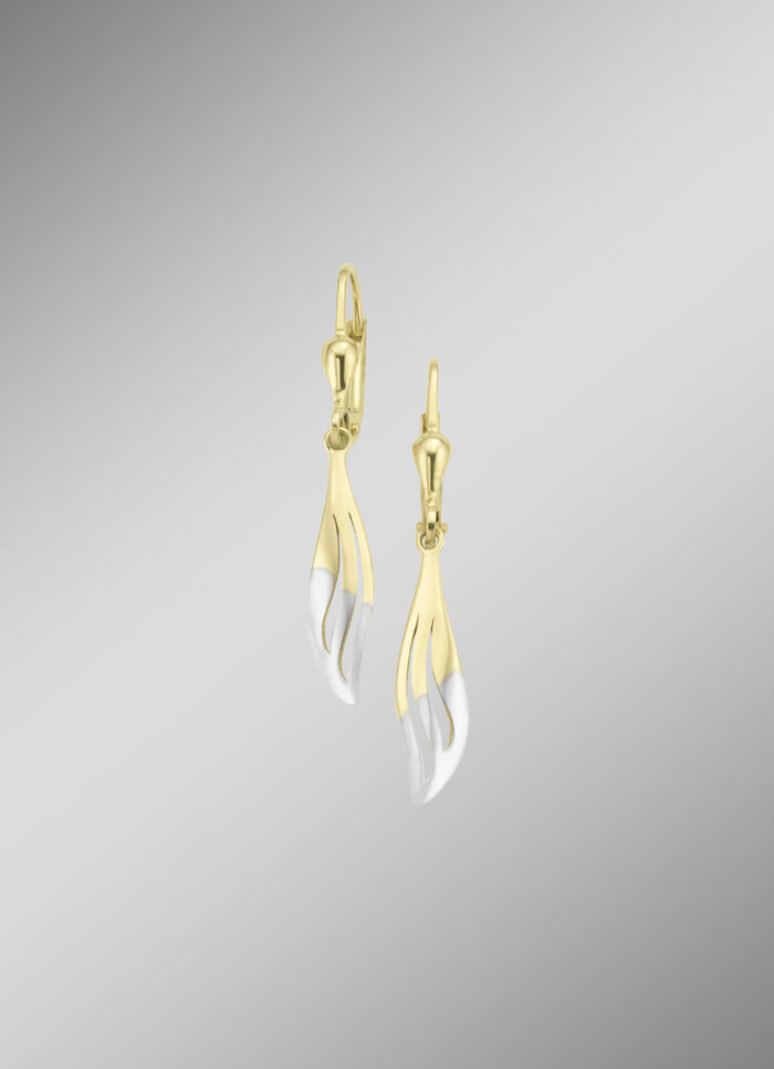 Klassische, gl&auml;nzende Ohrringe in Bicolor 