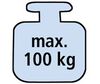max_100kg_N_detail