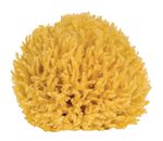 Badeschwamm aus nat&uuml;rlichem Material NATUR