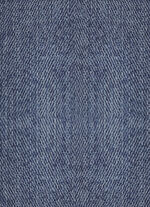 Magic-Jeans-Bermudas JEANSBLAU