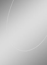 Veneziakette aus Weißgold 