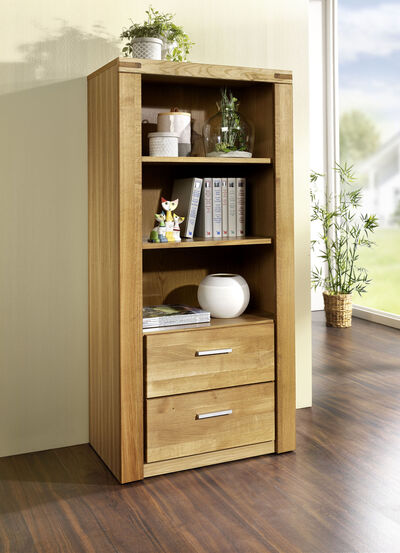 Regal mit Massivholzfronten 