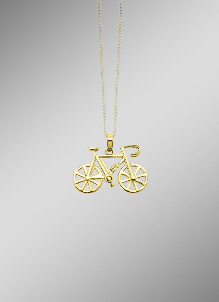 Fahrrad-Anhänger aus Gold  
